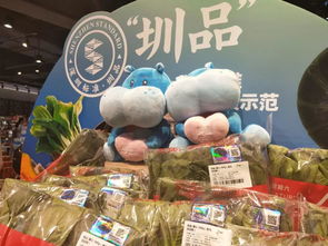 圳品来袭 供深食品销售火爆，龙岗人抢购指南